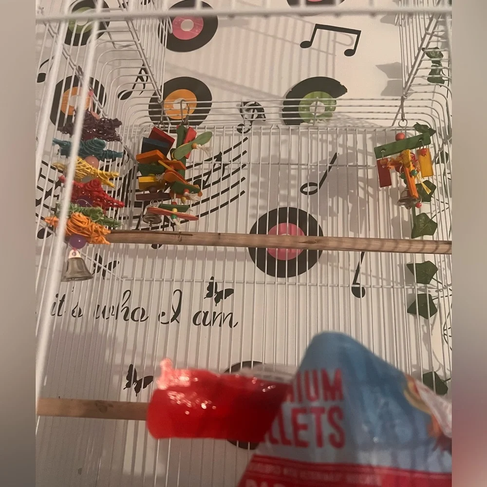Large White Bird Cage with Toys and Food